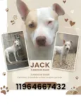 Jack