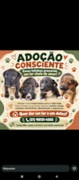 não tem nomes