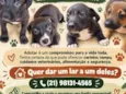 não tem nomes