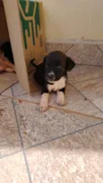 Nega