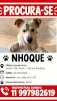 Nhoque