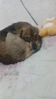 Cleitinho