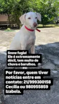 Snow