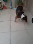 NI A
