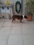 NI A