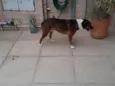 NI A