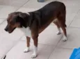 NI A