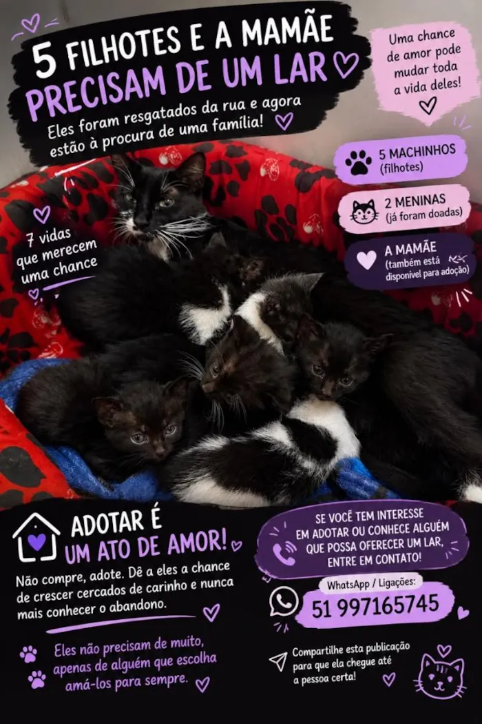Gato raça SRD-ViraLata idade 2 anos nome Nina e 4 filhotes machos