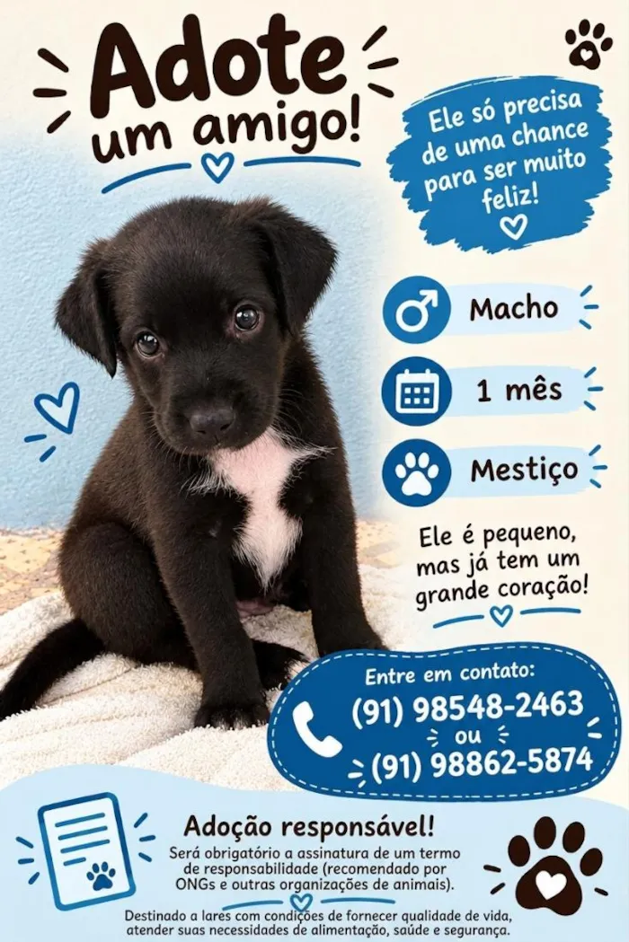 Cachorro raça SRD-ViraLata idade Abaixo de 2 meses nome pretinho 
