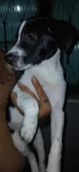 Não tem nome ainda