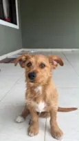 Não tem 