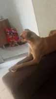 lola
