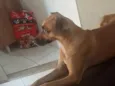 lola