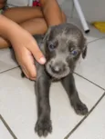 não tem nomes ainda 