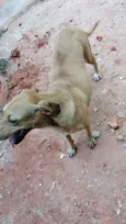 Lupita