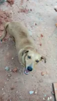 Lupita