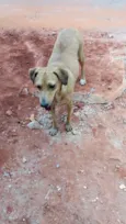 Lupita