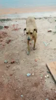 Lupita