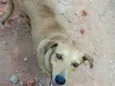 Lupita