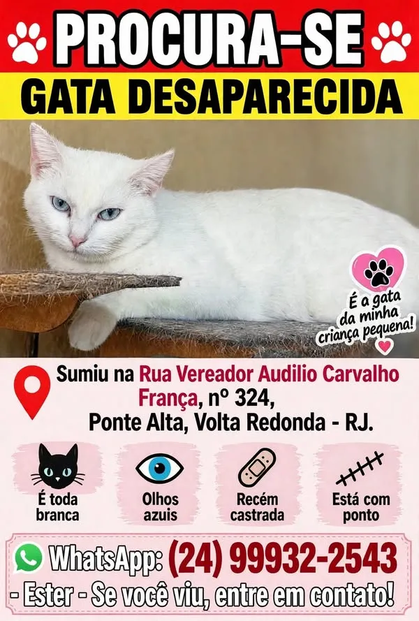 Gato raça SRD-ViraLata idade 2 a 6 meses nome Penélope 