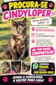 Cindy Loper