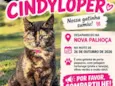 Cindy Loper