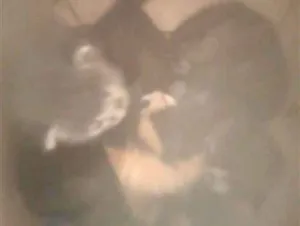 Gato raça SRD-ViraLata idade Abaixo de 2 meses nome mimi, quite, bebe, josi