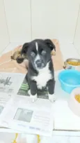 Nuqui