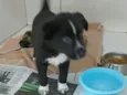 Nuqui