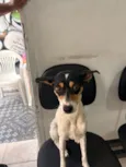 Mel