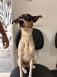 Mel
