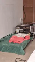 Mel