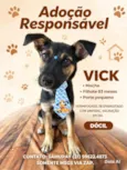 Vick