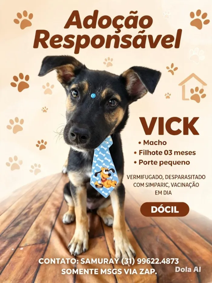 Cachorro raça SRD-ViraLata idade 2 a 6 meses nome Vick