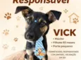 Vick