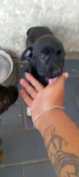 Não tem nome