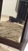 Zorah