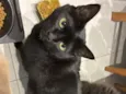 Faísca