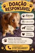 Alexw