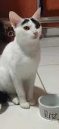 Mia