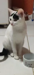 Mia