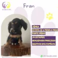 Fran