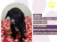 Filo