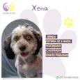 Xena