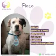 Floco
