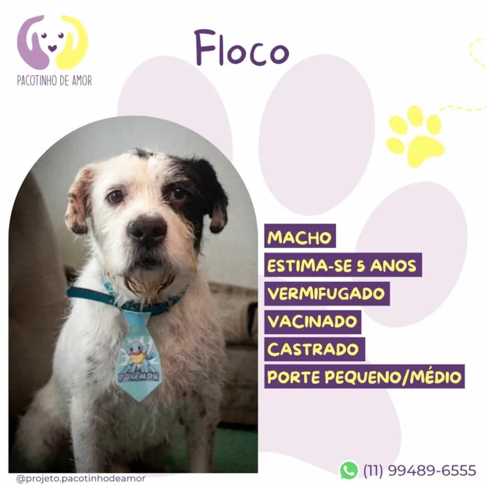 Cachorro raça SRD-ViraLata idade 5 anos nome Floco