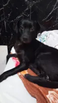 balu