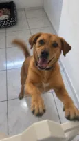 Júlia
