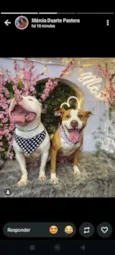 Aram e Zoe