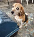 slinky